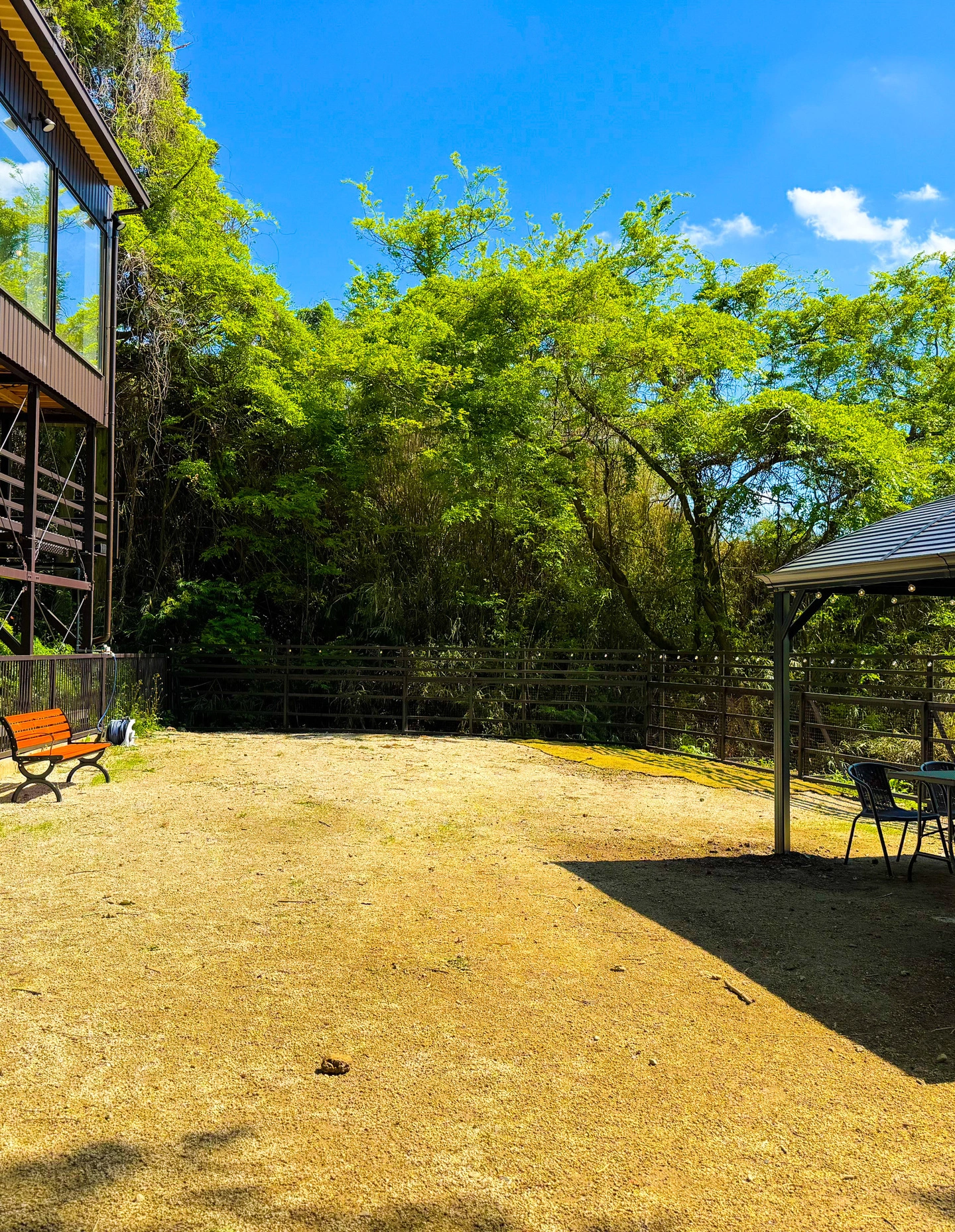 森のカフェの店舗画像3